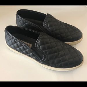 Steve Madden Sneakers